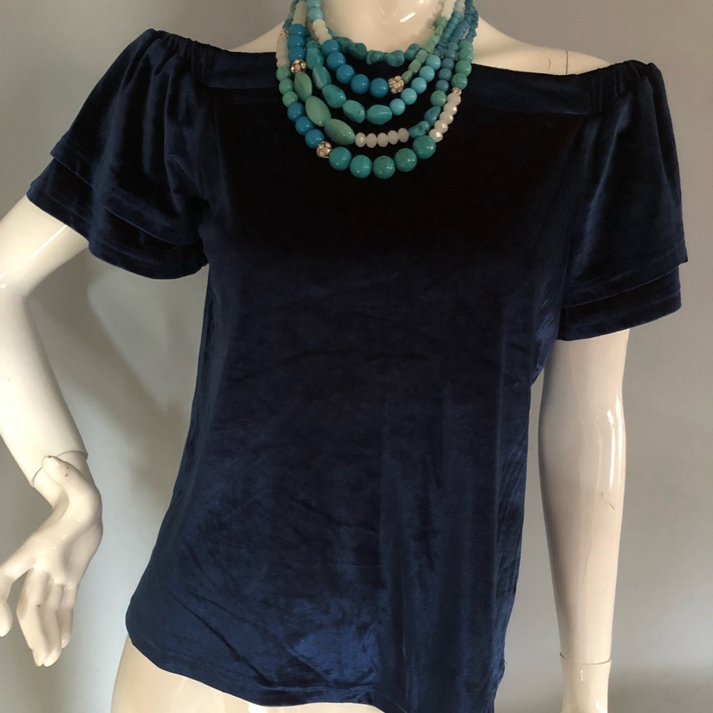 Beautiful Blue Velvet Off the Shoulder Top